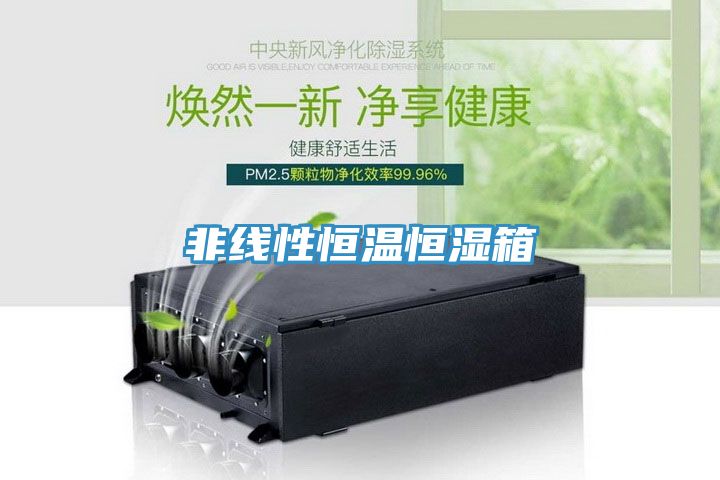 非線(xiàn)性恒溫恒濕箱