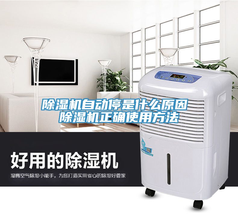 除濕機自動(dòng)停是什么原因 除濕機正確使用方法