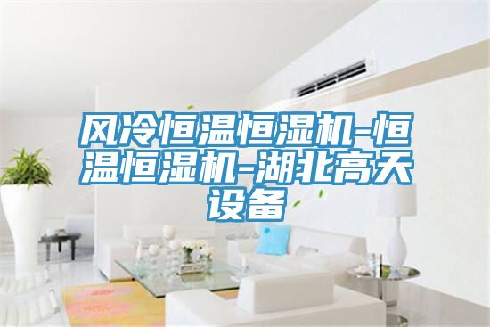 風(fēng)冷恒溫恒濕機-恒溫恒濕機-湖北高天設備