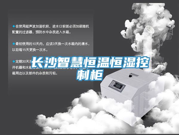 長(cháng)沙智慧恒溫恒濕控制柜