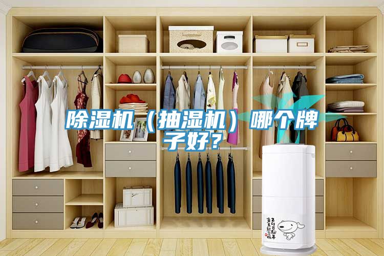 除濕機（抽濕機）哪個(gè)牌子好？