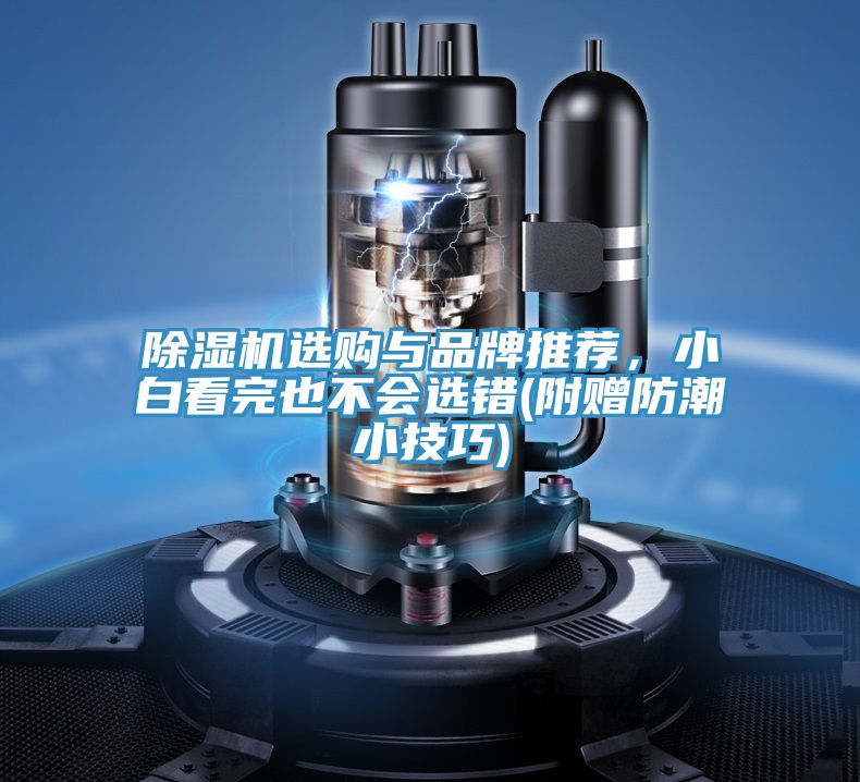 除濕機選購與品牌推薦，小白看完也不會(huì )選錯(附贈防潮小技巧)