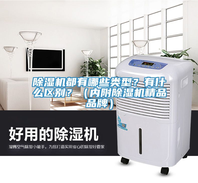 除濕機都有哪些類(lèi)型？有什么區別？（內附除濕機精品品牌）