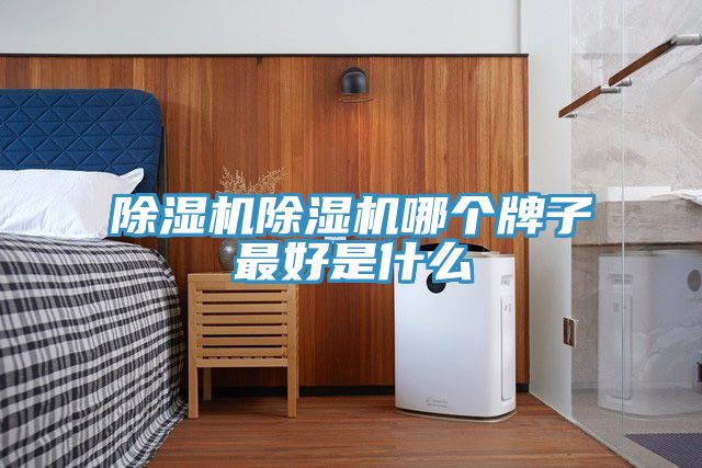 除濕機除濕機哪個(gè)牌子最好是什么
