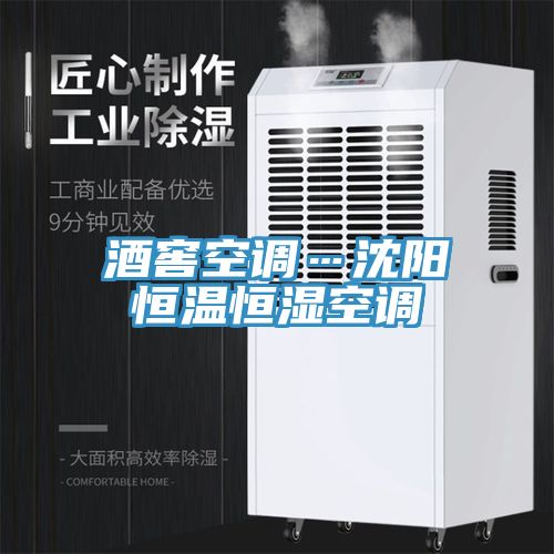 酒窖空調…沈陽(yáng)恒溫恒濕空調