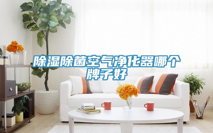 除濕除菌空氣凈化器哪個(gè)牌子好