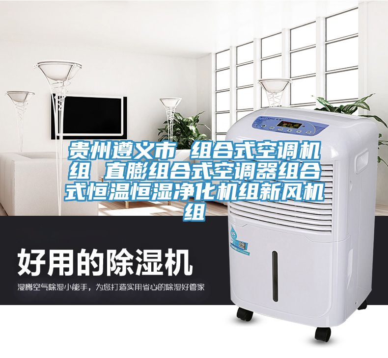 貴州遵義市 組合式空調機組 直膨組合式空調器組合式恒溫恒濕凈化機組新風(fēng)機組