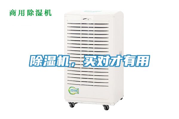 除濕機，買(mǎi)對才有用