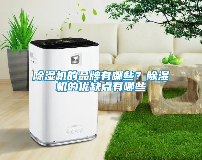 除濕機的品牌有哪些？除濕機的優(yōu)缺點(diǎn)有哪些