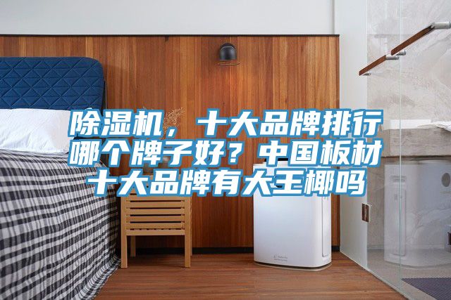 除濕機，十大品牌排行哪個(gè)牌子好？中國板材十大品牌有大王椰嗎