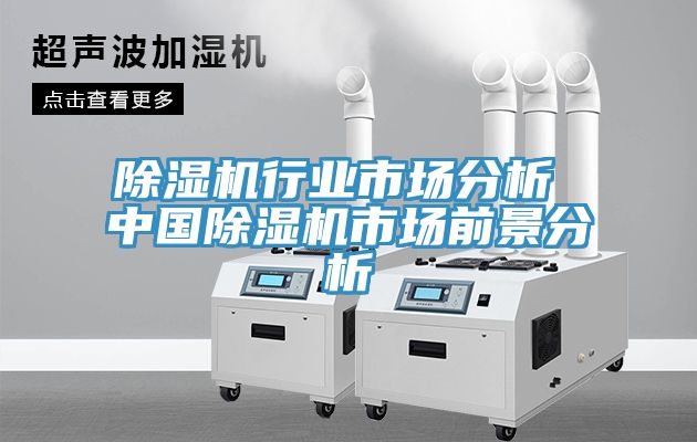除濕機行業(yè)市場(chǎng)分析 中國除濕機市場(chǎng)前景分析