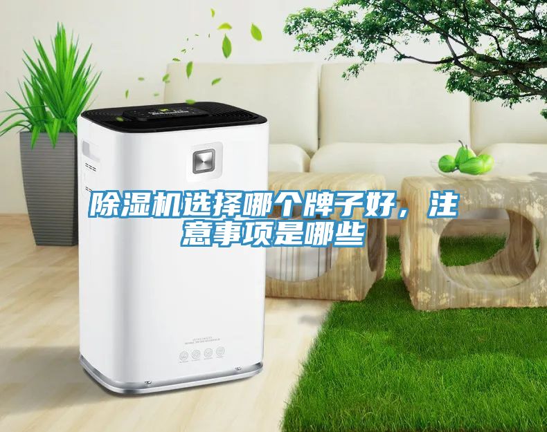 除濕機選擇哪個(gè)牌子好，注意事項是哪些