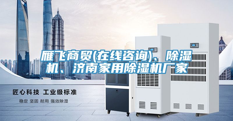 雁飛商貿(在線(xiàn)咨詢(xún))、除濕機、濟南家用除濕機廠(chǎng)家