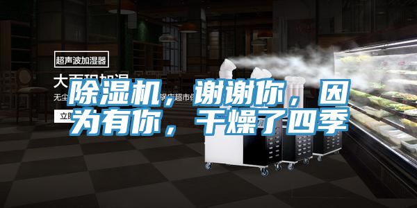 除濕機，謝謝你，因為有你，干燥了四季