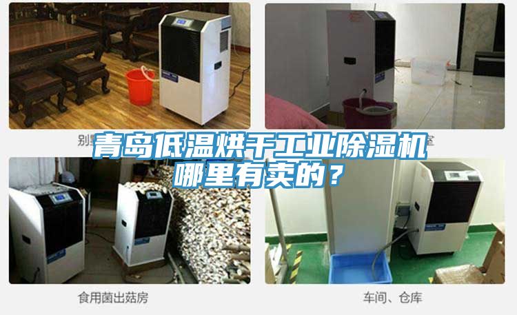 青島低溫烘干工業(yè)除濕機哪里有賣(mài)的？