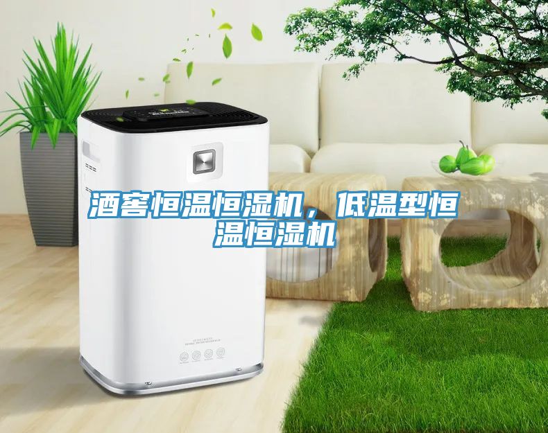 酒窖恒溫恒濕機，低溫型恒溫恒濕機