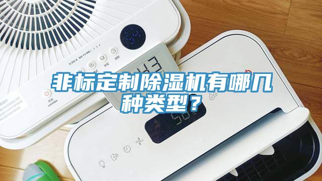 非標定制除濕機有哪幾種類(lèi)型？
