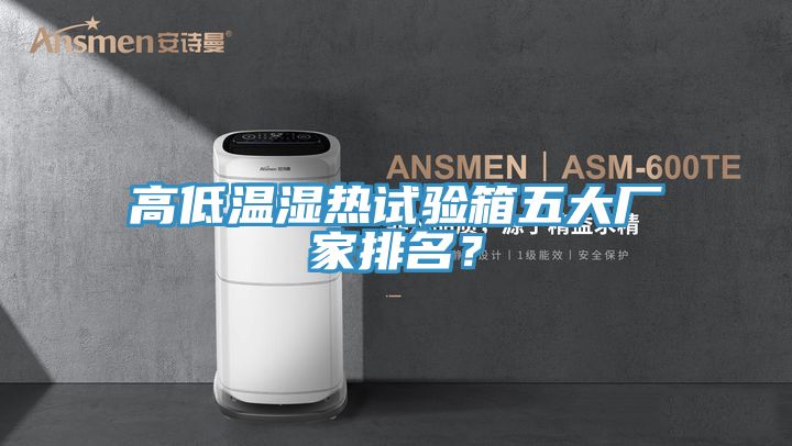 高低溫濕熱試驗箱五大廠(chǎng)家排名？