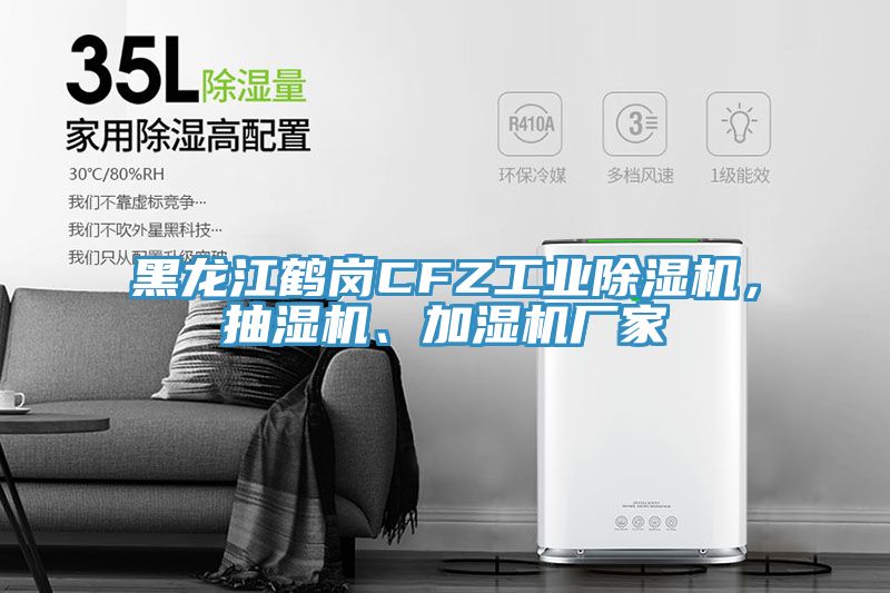 黑龍江鶴崗CFZ工業(yè)除濕機，抽濕機、加濕機廠(chǎng)家