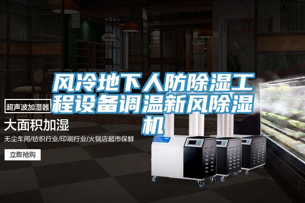 風(fēng)冷地下人防除濕工程設備調溫新風(fēng)除濕機