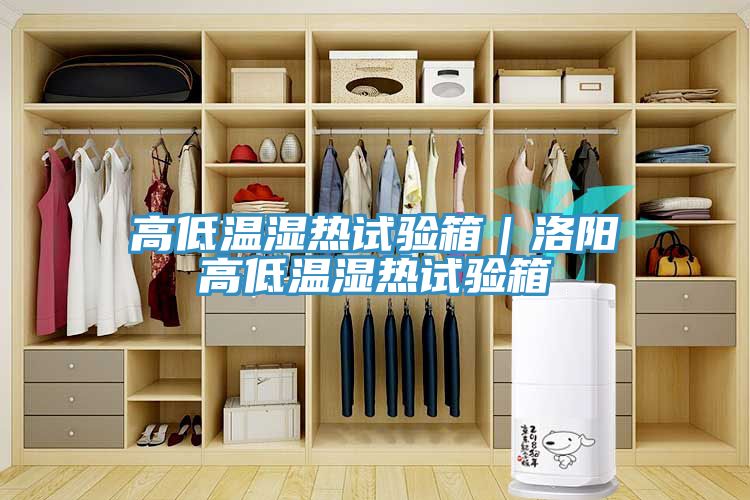 高低溫濕熱試驗箱｜洛陽(yáng)高低溫濕熱試驗箱