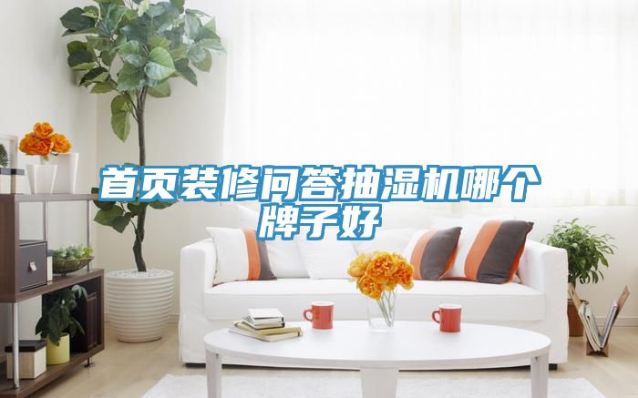 首頁(yè)裝修問(wèn)答抽濕機哪個(gè)牌子好