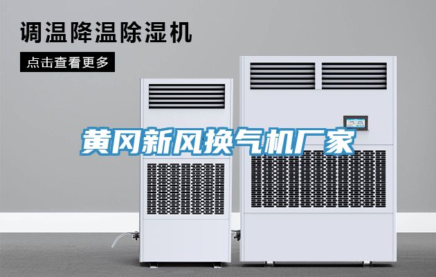 黃岡新風(fēng)換氣機廠(chǎng)家