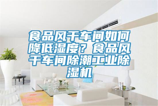 食品風(fēng)干車(chē)間如何降低濕度？食品風(fēng)干車(chē)間除潮工業(yè)除濕機