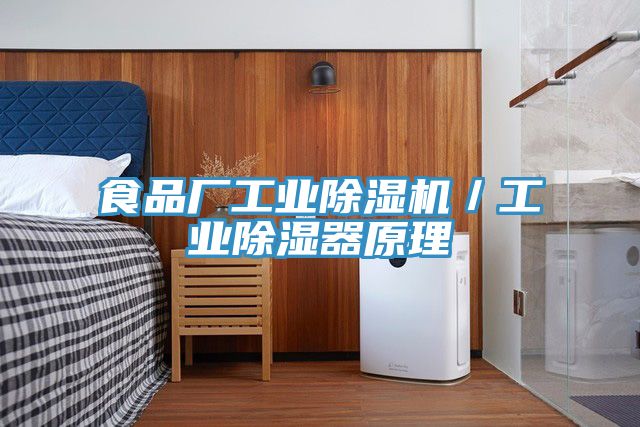 食品廠(chǎng)工業(yè)除濕機／工業(yè)除濕器原理