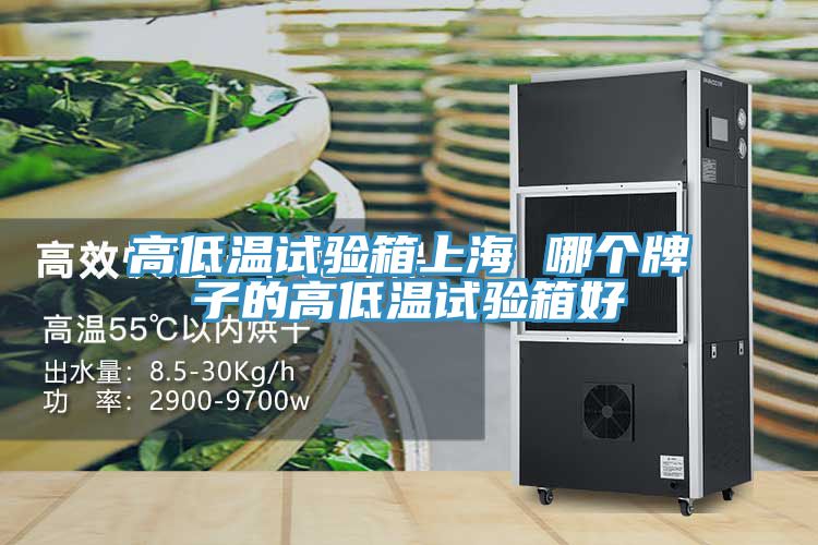 高低溫試驗箱上海 哪個(gè)牌子的高低溫試驗箱好