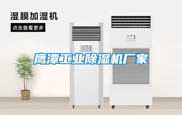 鷹潭工業(yè)除濕機廠(chǎng)家
