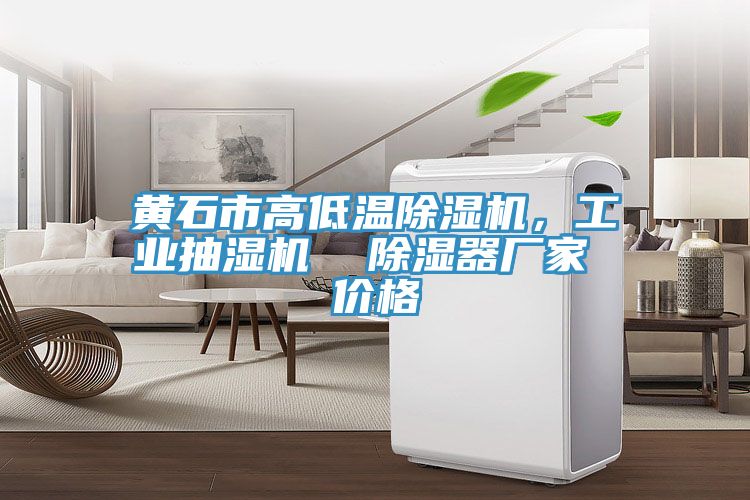 黃石市高低溫除濕機，工業(yè)抽濕機  除濕器廠(chǎng)家 價(jià)格