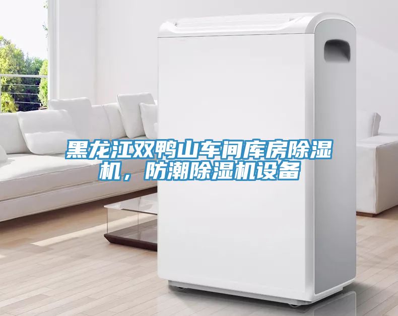 黑龍江雙鴨山車(chē)間庫房除濕機，防潮除濕機設備
