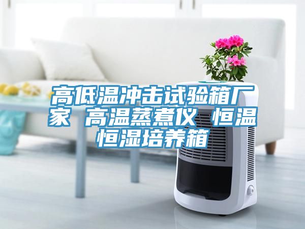高低溫沖擊試驗箱廠(chǎng)家 高溫蒸煮儀 恒溫恒濕培養箱
