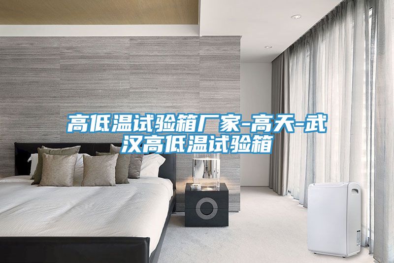 高低溫試驗箱廠(chǎng)家-高天-武漢高低溫試驗箱