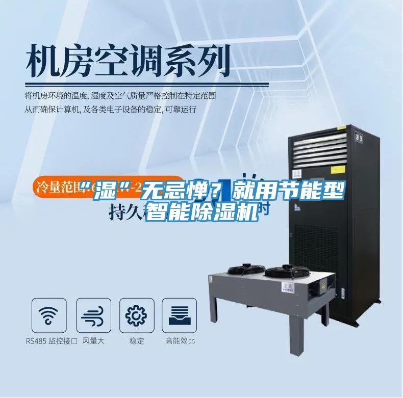 “濕”無(wú)忌憚？就用節能型智能除濕機