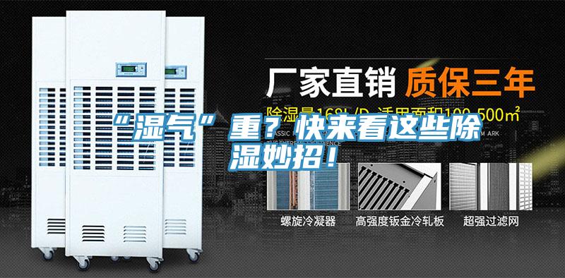 “濕氣”重？快來(lái)看這些除濕妙招！