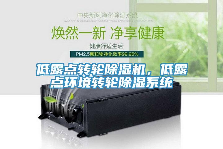 低露點(diǎn)轉輪除濕機，低露點(diǎn)環(huán)境轉輪除濕系統