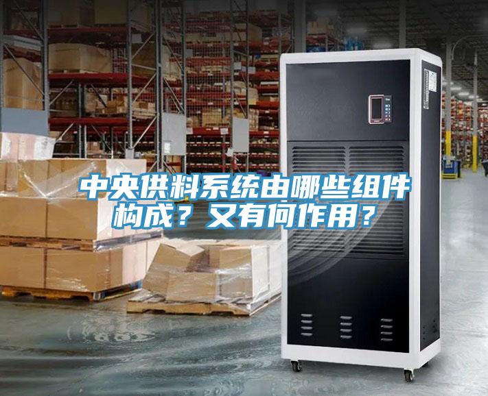中央供料系統由哪些組件構成？又有何作用？