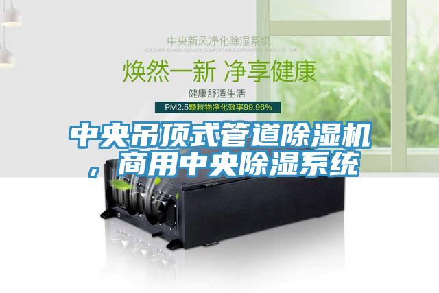 中央吊頂式管道除濕機，商用中央除濕系統