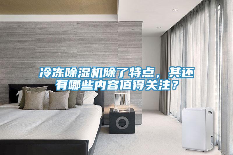 冷凍除濕機除了特點(diǎn),其還有哪些內容值得關(guān)注?