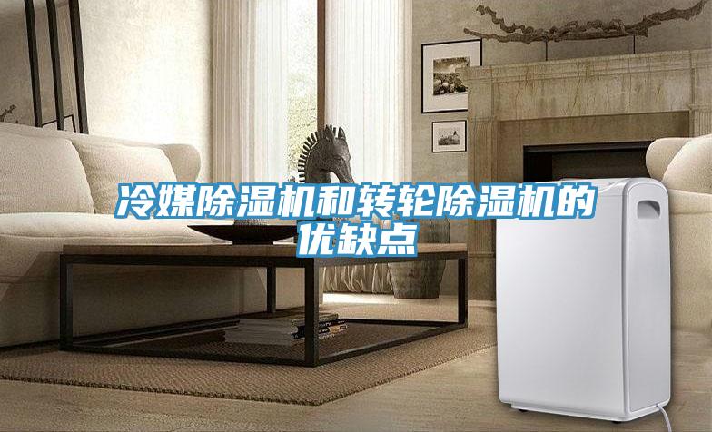 冷媒除濕機和轉輪除濕機的優(yōu)缺點(diǎn)