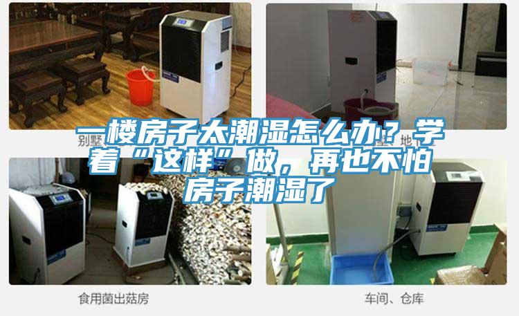 一樓房子太潮濕怎么辦？學(xué)著(zhù)“這樣”做，再也不怕房子潮濕了