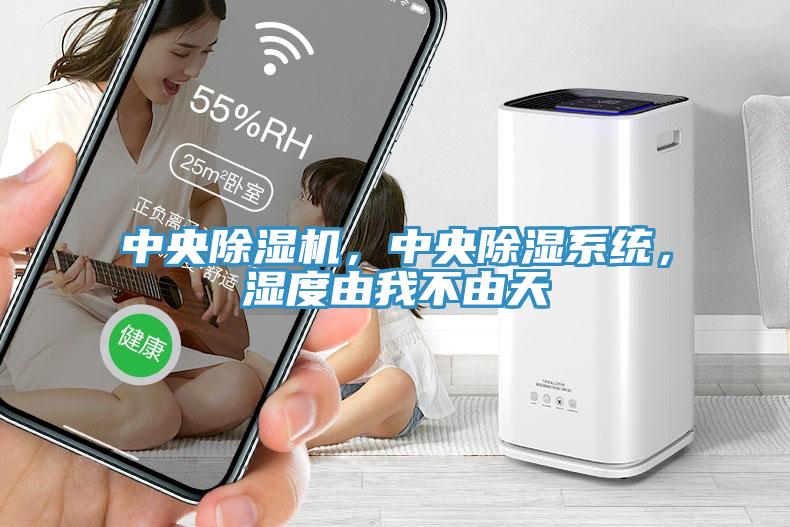 中央除濕機，中央除濕系統，濕度由我不由天