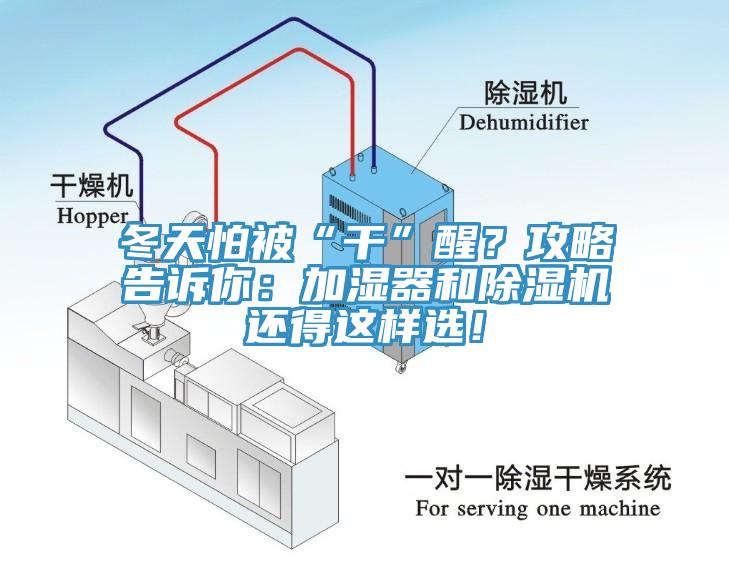 冬天怕被“干”醒？攻略告訴你：加濕器和除濕機還得這樣選！