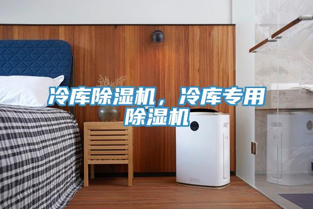 冷庫除濕機，冷庫專(zhuān)用除濕機