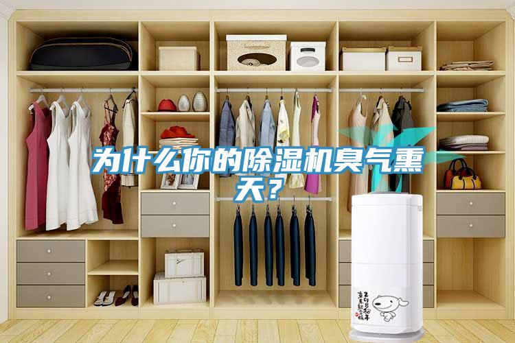 為什么你的除濕機臭氣熏天？