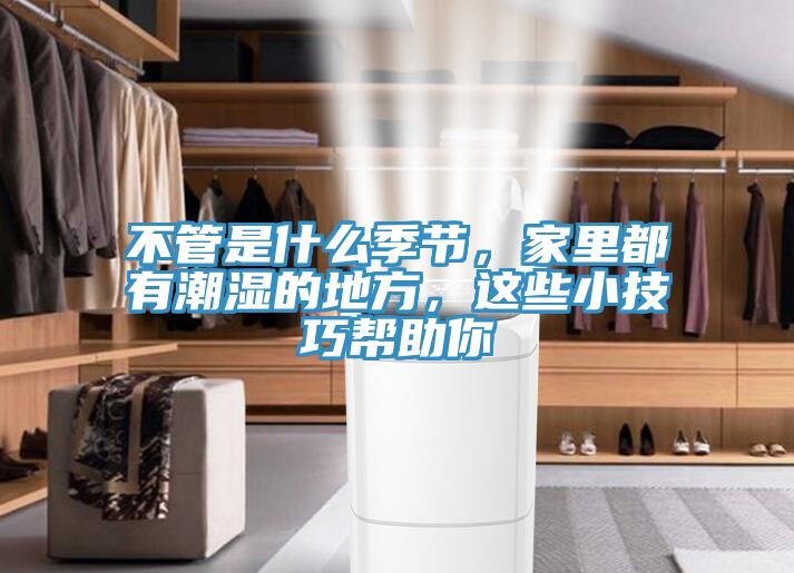 不管是什么季節，家里都有潮濕的地方，這些小技巧幫助你