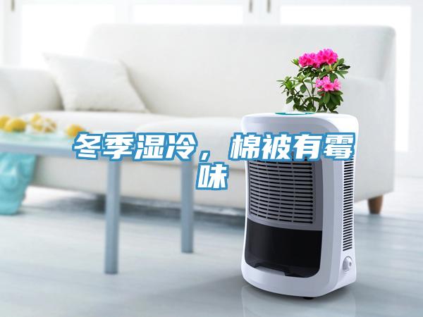 冬季濕冷，棉被有霉味