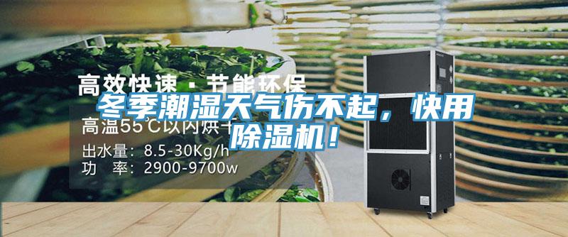 冬季潮濕天氣傷不起，快用除濕機！